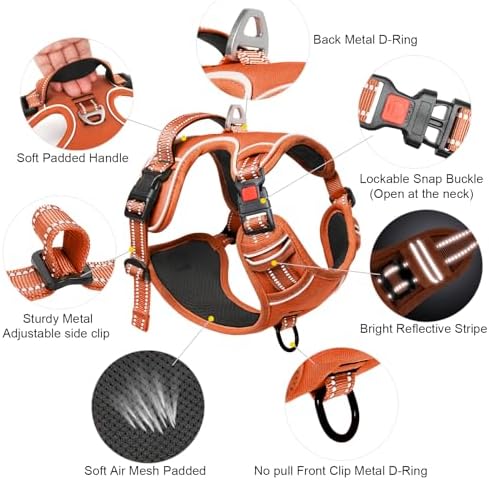 Timos Dog Harness Large Sized, Quick Release Buckles - Image 4