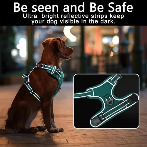 Timos Dog Harness, No Pull Large Sized - Image 3