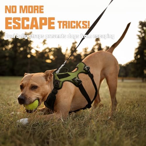 AUROTH Escape Proof Dog Harness - Image 3