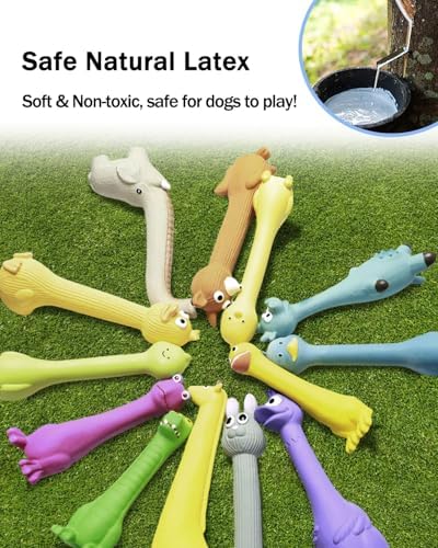 SCHITEC Squeaky Dog Toys, Squawking Latex Toy - Image 3