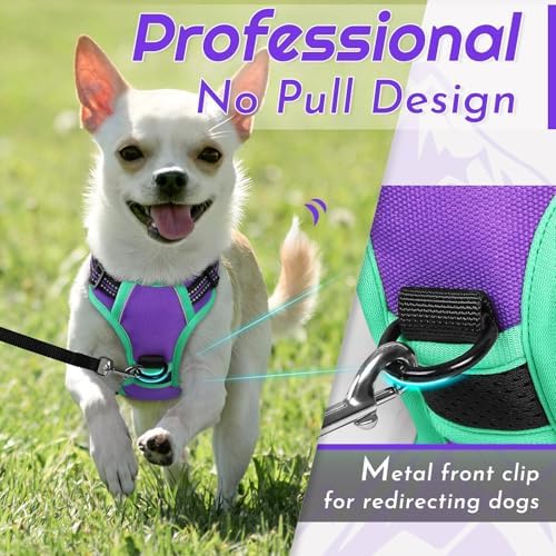 Eagloo Dog Harness for Small Dogs, No Pull Pet Vest - Image 2