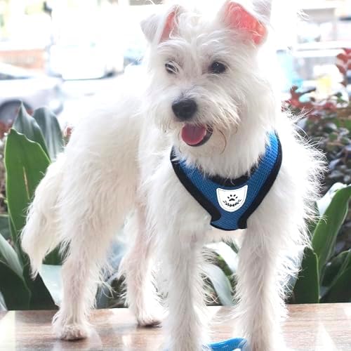 Hypeety Dog Vest Harness No-Pull Reflective Step-in Air Mesh Vest - Image 6