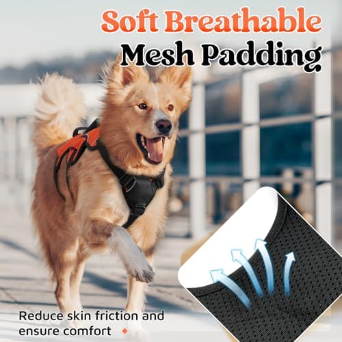 rabbitgoo Escape Proof Dog Harness - Image 6
