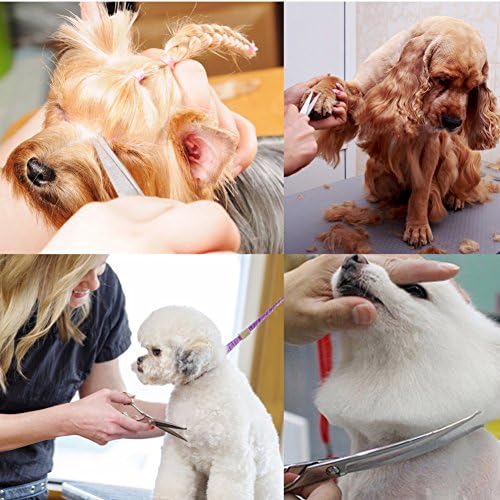 Dog Grooming Kit with Round Tip, 6 in 1 Cat Dog Grooming Scissors, Stainless - Image 7
