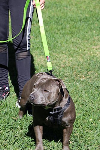 Primal Pet Gear Dog Leash 6ft Long, Traffic Padded Two Handle, Heavy Duty - Image 3