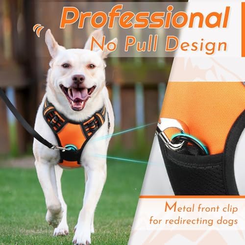 Eagloo Dog Harness for Small Dogs, No Pull Pet Vest - Image 3