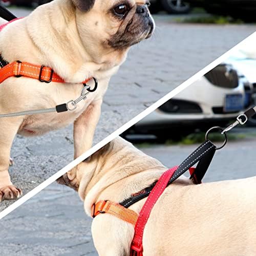 Didog No Pull Dog Harness for Small Dogs, Soft Padded Handle - Image 3