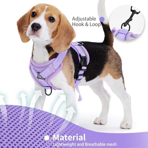Dog Harness Small Sized Dog Pet Vest - Image 2