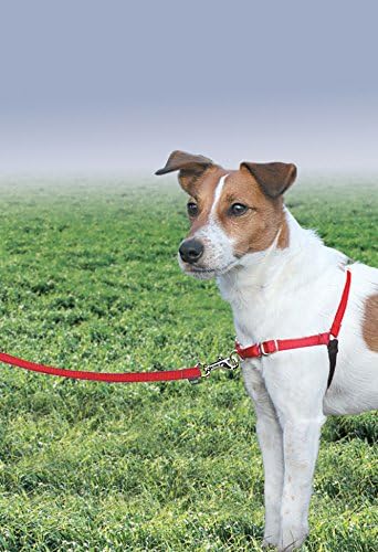 PetSafe Easy Walk Harness, No Pull Dog Harness, Small/Medium - Image 2