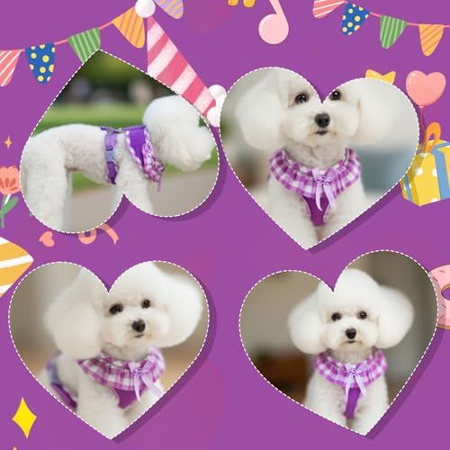 EXPAWLORER Step-in Dog Harness Small Sized and Leash Set - Image 6