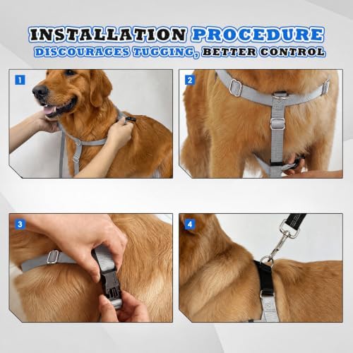 Freedom No Pull Dog Harness - Image 5