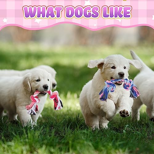 Paterr 12 Pcs Cotton Rope Toys for Small Dogs Puppy Teething - Image 4