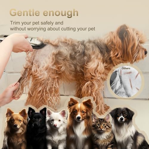 Quiet Dog Grooming Kit - 2000mAh Dog Clippers - Image 6