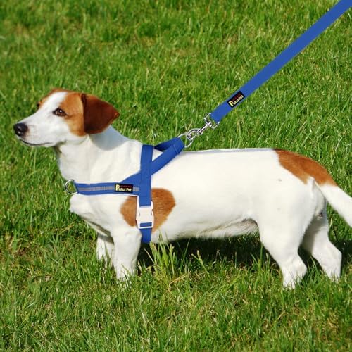 Plutus Pet Cotton Dog Harness and Leash Set, Reflective and Soft Padded - Image 6