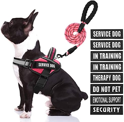 Service Dog Vest Harness and Leash Set, Animire in Training Dog Harness by Animire