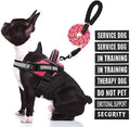 Service Dog Vest Harness and Leash Set, Animire in Training Dog Harness by Animire