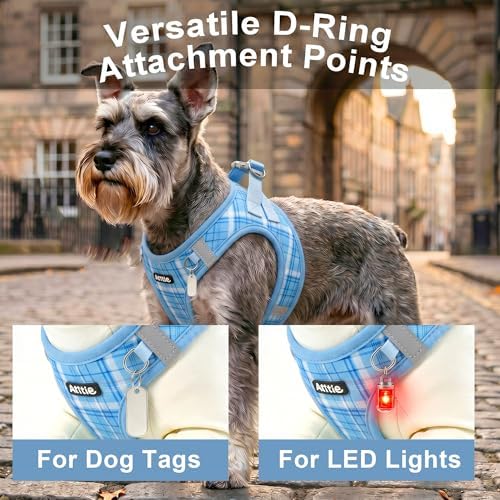 AIITLE Step in Dog Harness and Leash Set Plaid Adjustable - Image 6