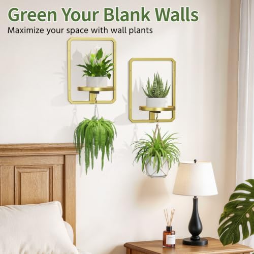 LASZOLA Plant Picture Frame Holder Wall Mount - Image 3