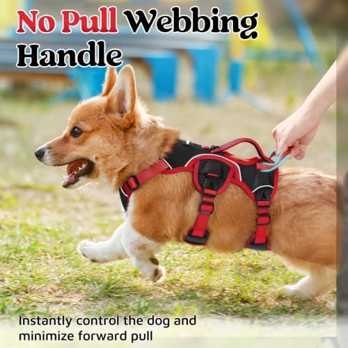 rabbitgoo Escape Proof Dog Harness - Image 4