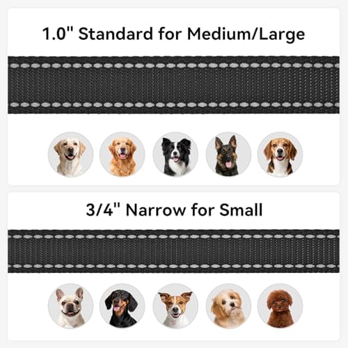 Joytale Reflective Dog Leash for Medium & Large Dogs, 4 FT x 1" - Image 6