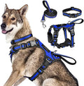 WINSEE All-in-One Reflective Dog Harness, Collar & Leash Set, No Pull by WINSEE