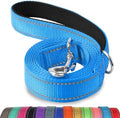 Joytale Reflective Dog Leash for Small Dogs, 4 FT x 3/4", Sky Blue by Joytale