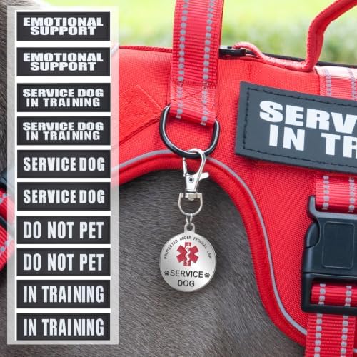 Service Dog Vest Harness, ID Tag + 50 ADA Information Cards - Image 6
