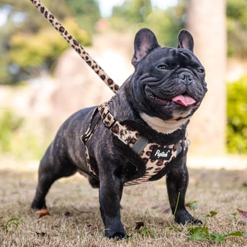 PUPTECK Dog Harness and Leash Set Small Sized, Step in No Pull Adjustable Puppy - Image 5