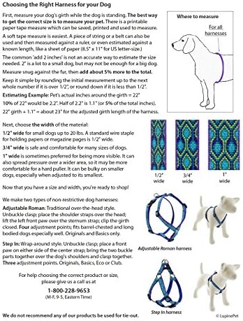 LupinePet Originals 1/2" Turtle Reef 12-20" Adjustable Roman Dog Harness - Image 2