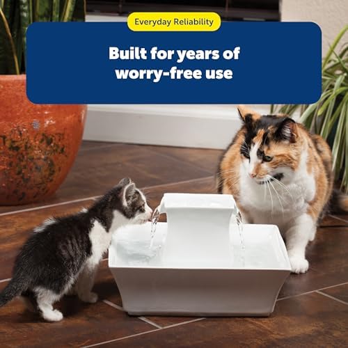 PetSafe Drinkwell Dog and Cat Water Fountain Cleaning Kit, 3 Brushes, 1 3/8' - Image 7