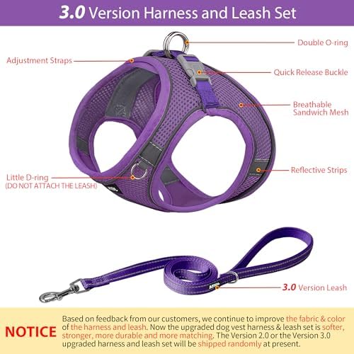 AIITLE Dog Harness and Leash Set, Step-in Puppy Pet Vest, Pure Purple XL - Image 2