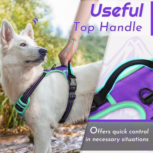 Eagloo Dog Harness for Small Dogs, No Pull Pet Vest - Image 5