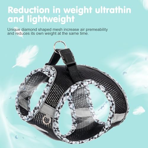 Dog Harness and Leash Set, No Pull Pet Harness - Image 4
