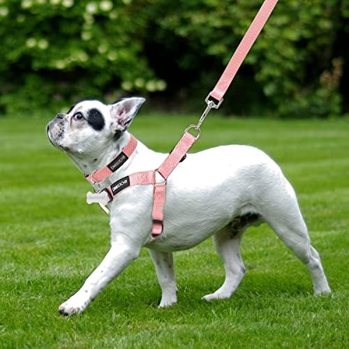 No Pull Dog Harness, Leash & Collar Set, Adjustable Step-in Vest - Image 6