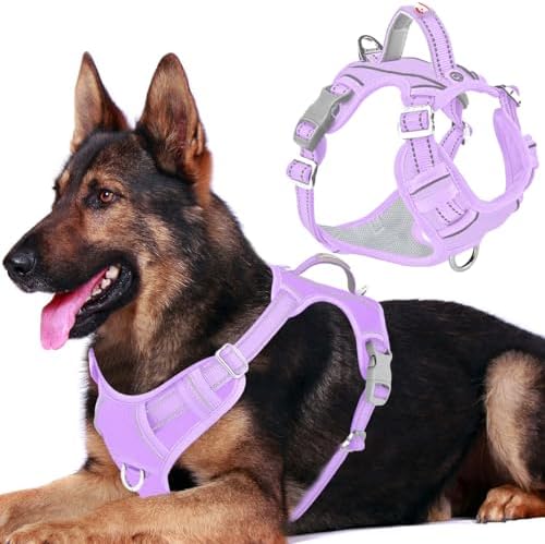 BARKBAY No Pull Dog Harness for Large Dogs, ID Tag Holder Dog Vest by BARKBAY
