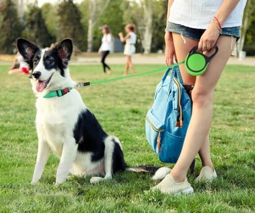 Taglory Retractable Dog Leash, One-Handed Brake - Image 2