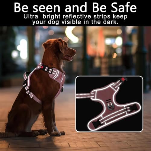 Timos Dog Harness Large Sized, Quick Release Buckles - Image 2