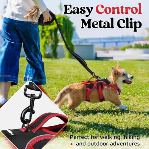 rabbitgoo Escape Proof Dog Harness - Image 7