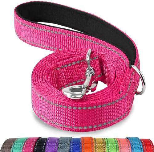 Joytale Reflective Dog Leash for Medium & Large Dogs, 4 FT x 1" by Joytale