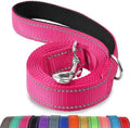 Joytale Reflective Dog Leash for Medium & Large Dogs, 4 FT x 1" by Joytale