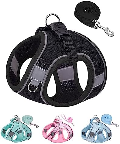 SOLMOONY Dog Harness for Small Medium Dogs No Pull, Puppy and Leash Set by SOLMOONY