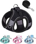 SOLMOONY Dog Harness for Small Medium Dogs No Pull, Puppy and Leash Set by SOLMOONY
