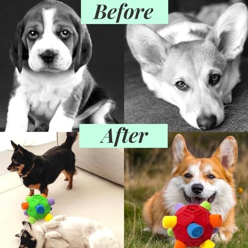 Interactive Snuffle Ball for Dog Toys Unbreakable Upgrade Ball Toy - Image 5
