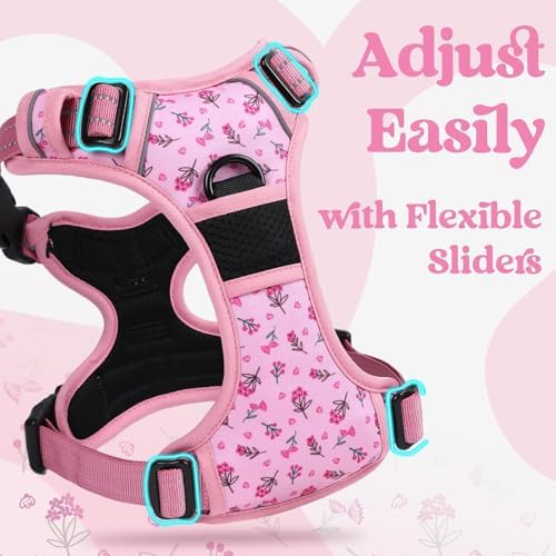 rabbitgoo Dog Harness Medium Sized, Updated Easy On & Off - Image 4