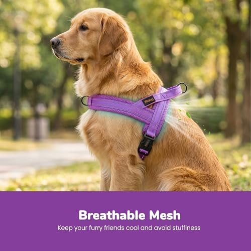 Didog No Pull Dog Harness for Large Dogs, Breathable Mesh Padded - Image 2