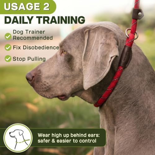 Fida Durable Slip Lead Dog Leash, 6 FT x 3/8" Dog Training Leash - Image 5