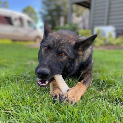 Nylabone Power Chew Textured Knuckle Bone Dog Chew Toys - Image 2