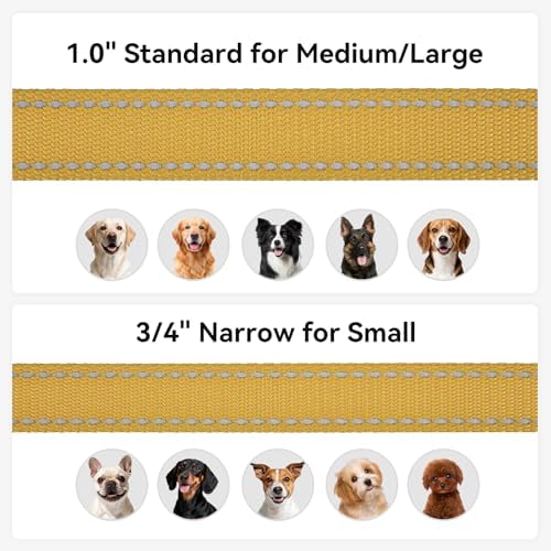 Joytale Reflective Dog Leash for Medium & Large Dogs, 5 FT x 1" - Image 6