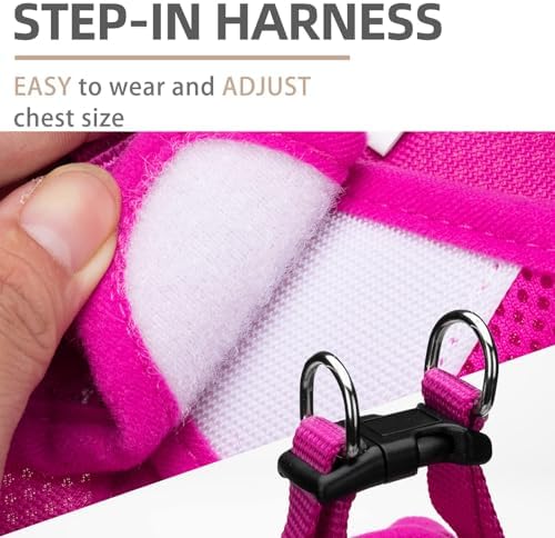 PUPTECK Dog Harness, Collar and Leash Set No Pull - Image 3