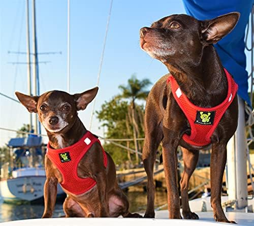 EcoBark Small Dog Harness for Toy Breed Dogs & Puppies, Luxury Mesh - Image 4